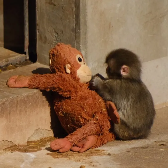 punch-gallery-4-DHouJ9EW (1) (1)