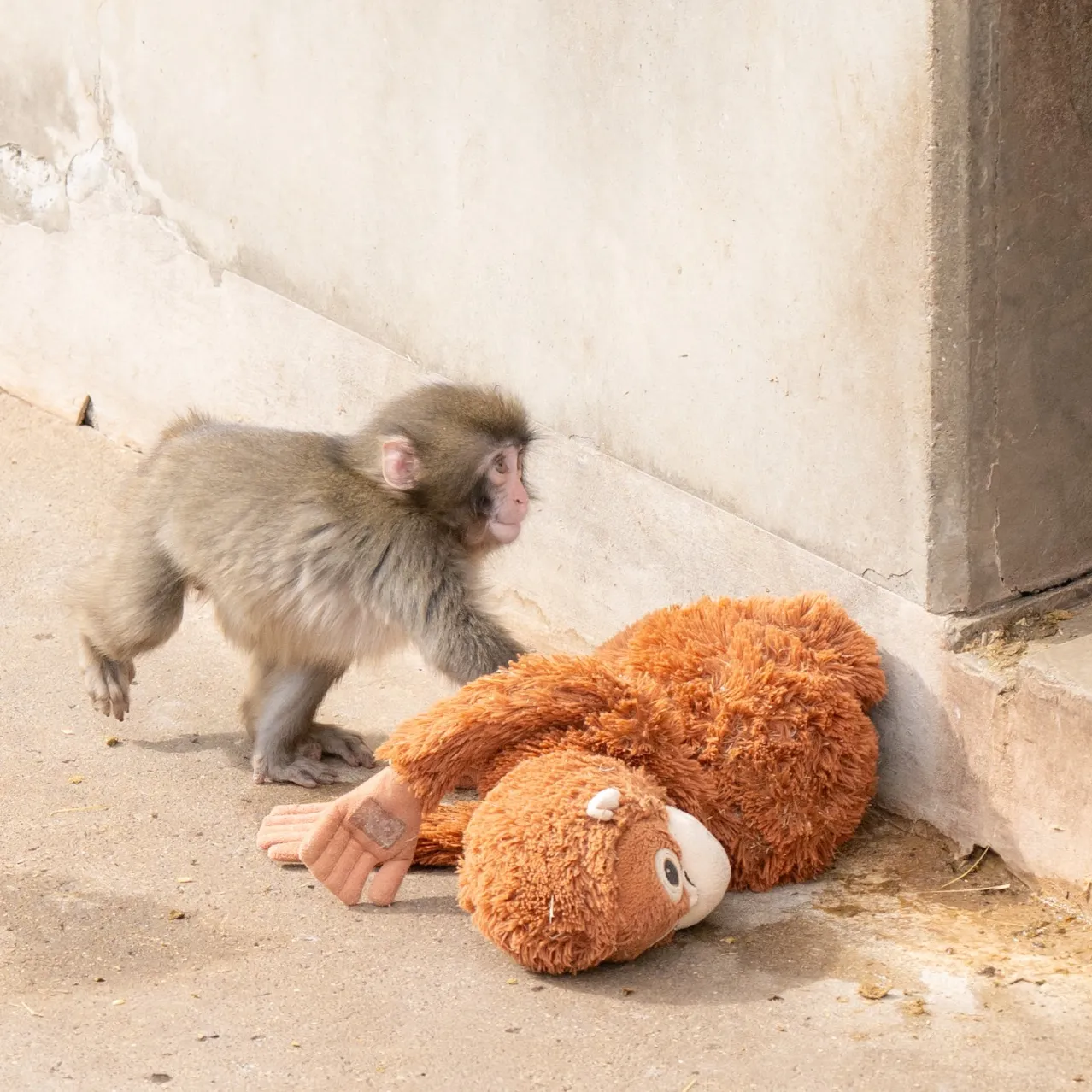 punch-gallery-5-pFiRCCBN (1) (1)