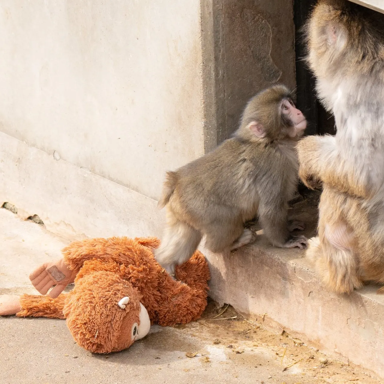 punch-gallery-6-BFmieDGk (1) (1)