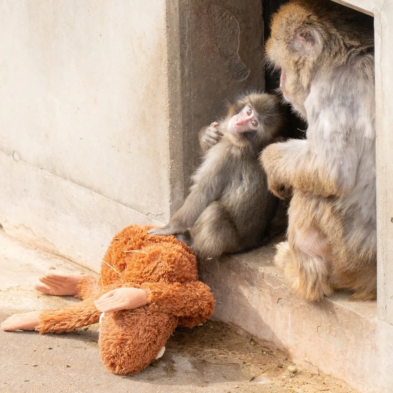 punch-gallery-7-BwVZrCZ- (1) (1)